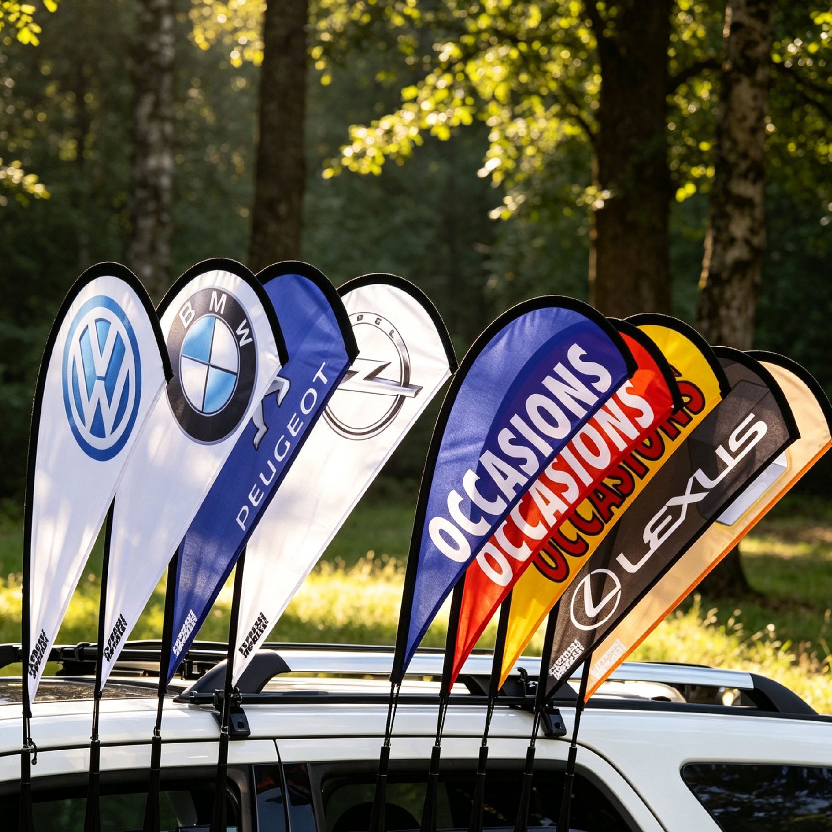 car window clips flag application