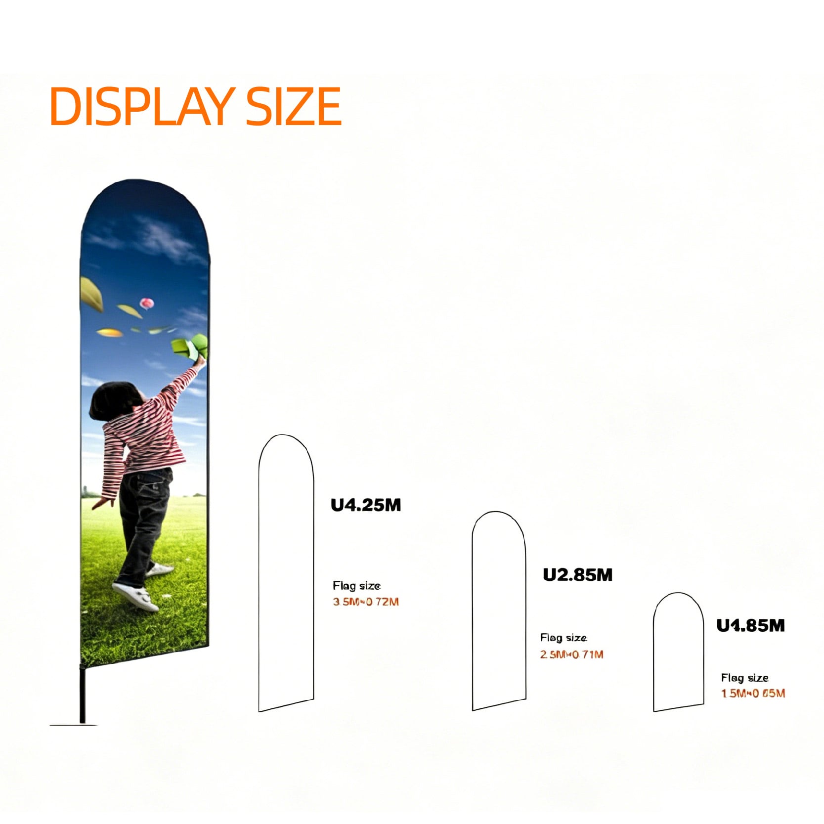 U banner display and dimensions