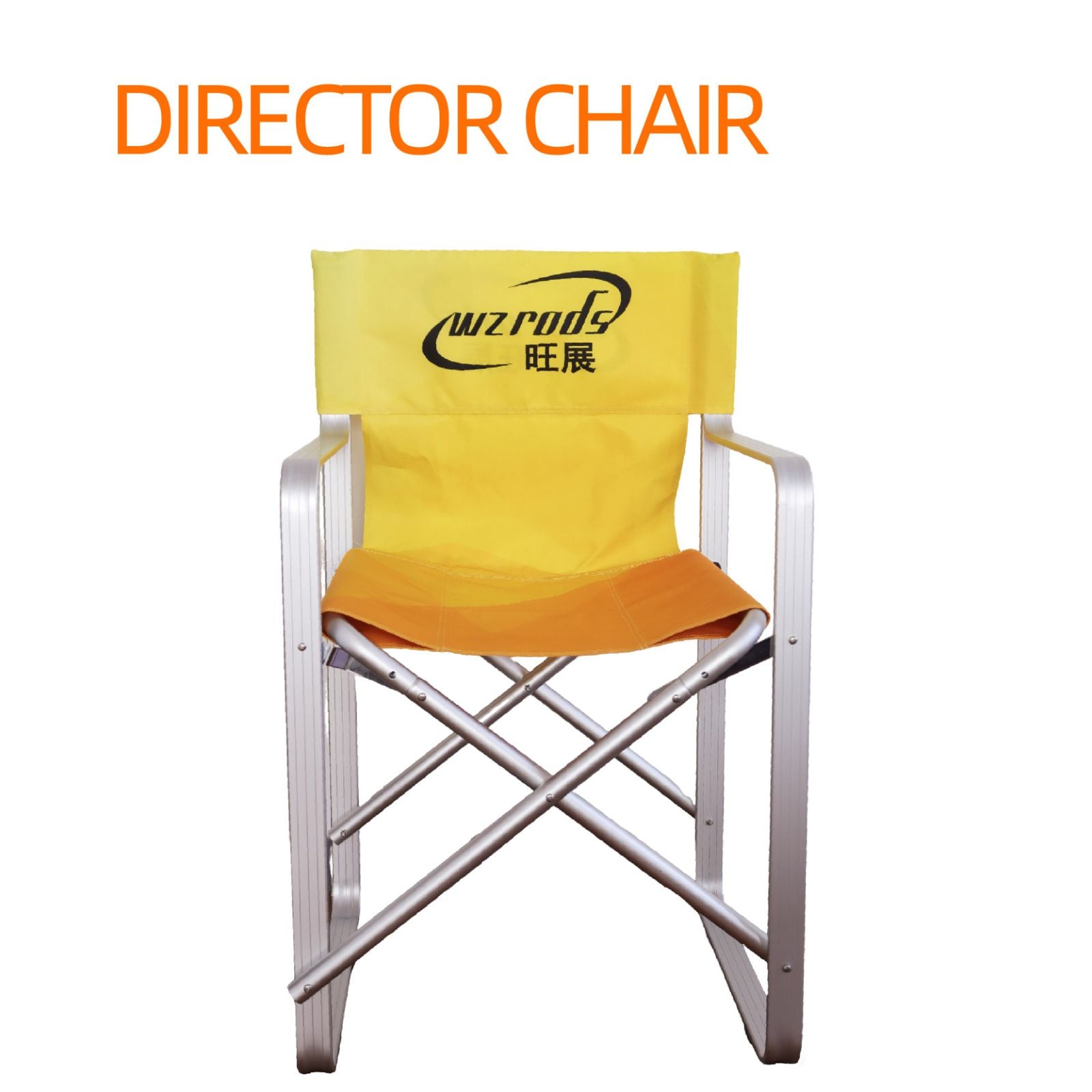 Director Chair